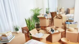 Packers and Movers Hyderabad