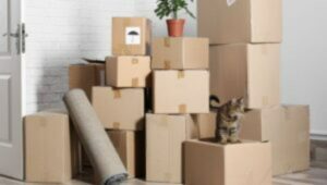Packers and Movers Kompally Hyderabad