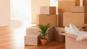 Packers and Movers Nampally Hyderabad